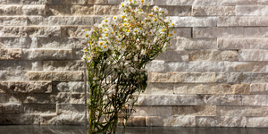 Сланец Beige Slate Classic2