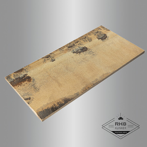 Песчаник Sandstone Fossil Natural