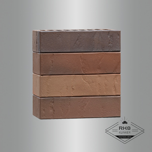 Кирпич облицовочный VOLGABRICK Эльтон Флэш, 1 НФ