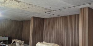 Реечная панель Different Lines, Australian Palisander, Co-Extrusion (фотоотзыв, интерьер) 6