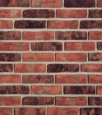Кирпич облицовочный Formback graphit-bunt, 240х115х71 мм в Липецке