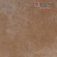 Клинкерные ступени и плитка WesterWalder WKS31150 в Липецке