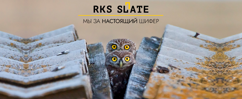 https://реконстрой.рф/каталог/кровля-из-сланца/