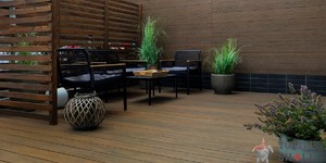 Террасная доска ДПК Turtle Shell Thai Teak Co-Extrusion (терраса) 18