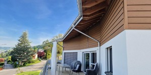 Фасадная доска ДПК BAMBERG Alpine Lebanese Cedar фото облицовки частного дома из ДПК (3)