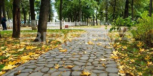 Тротуарная плитка Браер Грин галет. Фото объекта - Парк им. Талалихина. Подольск (3)